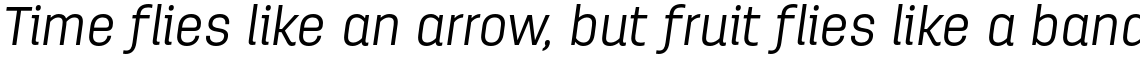 Antartida Essential Light Italic