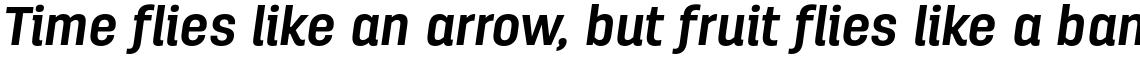 Antartida Essential Bold Italic