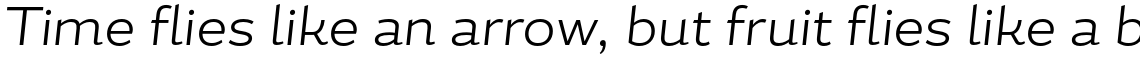 Magallanes Essential Light Italic