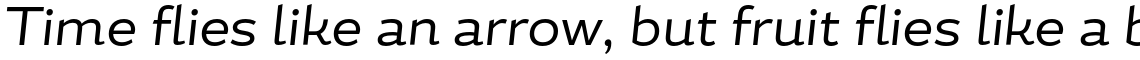 Magallanes Essential Italic