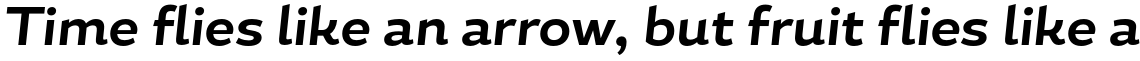 Magallanes Essential Bold Italic