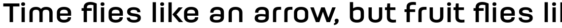 Moderna Bold