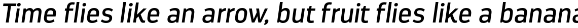 Darwin Regular Italic