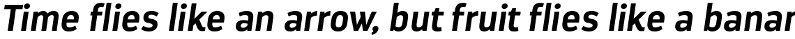 Darwin Bold Italic