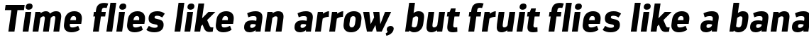 Darwin Black Italic