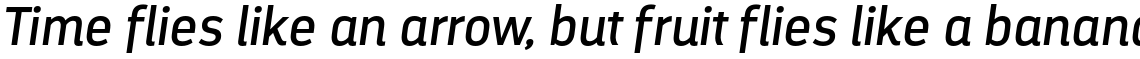 Darwin Alt Regular Italic