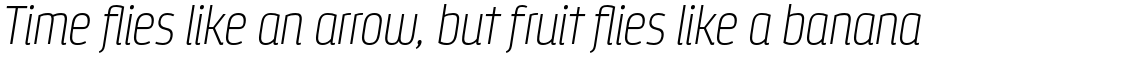 Styling Alt Extra Light Italic