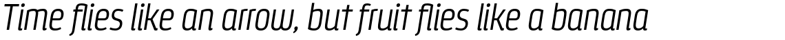 Styling Alt Light Italic