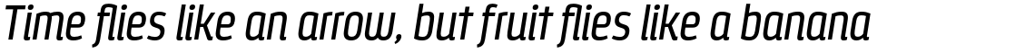 Styling Alt Regular Italic