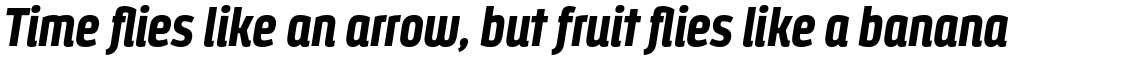 Styling Alt Black Italic