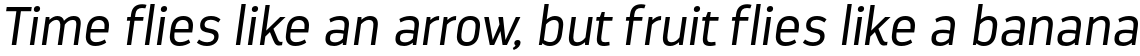 Darwin Office Italic