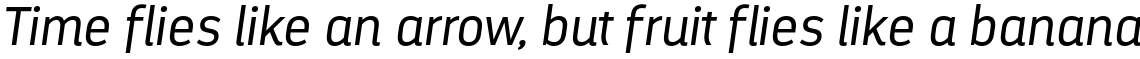 Darwin Alt Office Italic