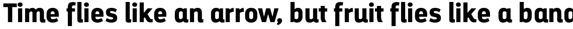 Darwin Alt Office Bold