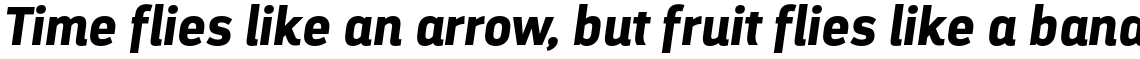 Darwin Alt Office Bold Italic