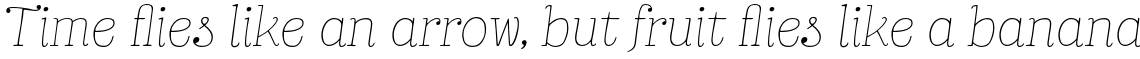 Bach Thin Italic