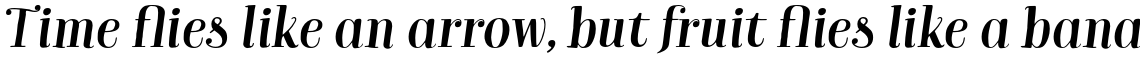 Bach Black Italic