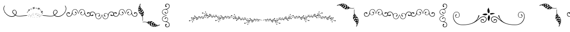 Bach Borders