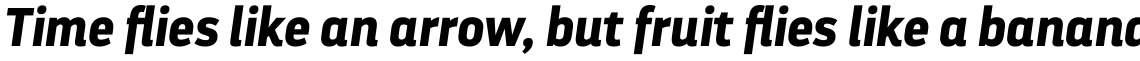 Darwin Pro Bold Italic