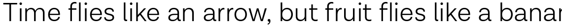 Lota Grotesque Light