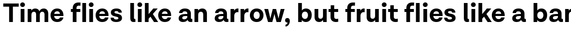 Lota Grotesque Bold