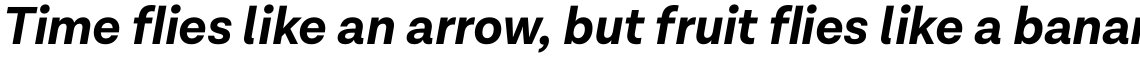 Lota Grotesque Bold Italic
