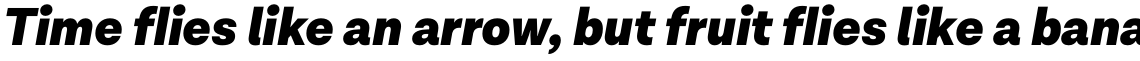 Lota Grotesque Black Italic