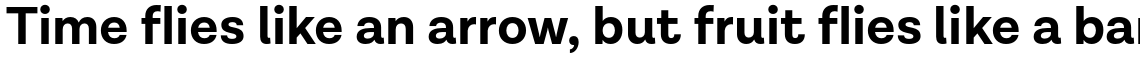 Lota Grotesque Alt 1 Bold