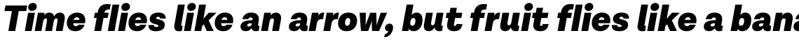 Lota Grotesque Alt 1 Black Italic