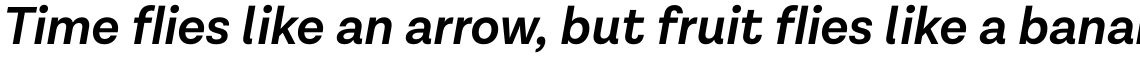 Lota Grotesque Alt 2 SemiBold Italic
