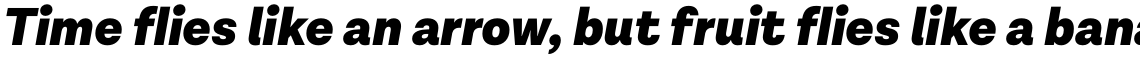 Lota Grotesque Alt 2 Black Italic