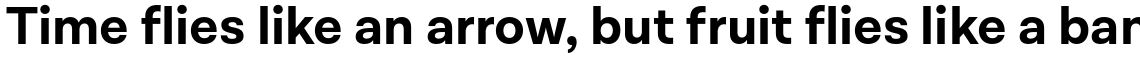 Lota Grotesque Alt 3 Bold