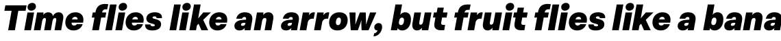 Lota Grotesque Alt 3 Black Italic