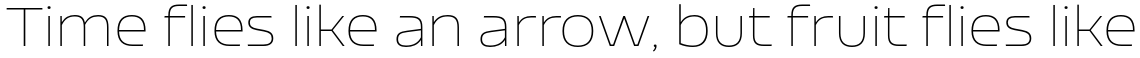 Nizzoli Thin