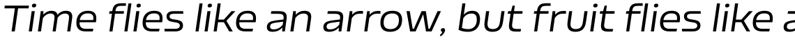 Nizzoli Regular Italic