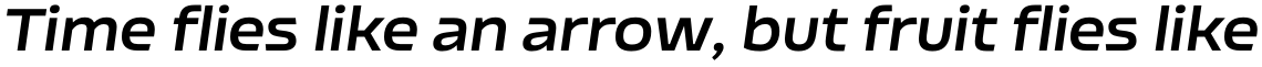 Nizzoli Bold Italic