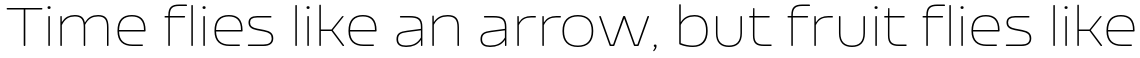 Nizzoli Rounded Thin