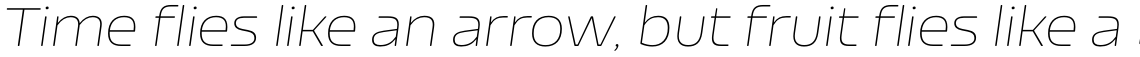 Nizzoli Rounded Thin Italic