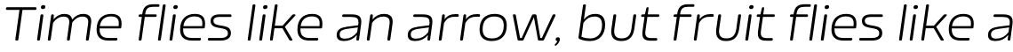 Nizzoli Rounded Light Italic