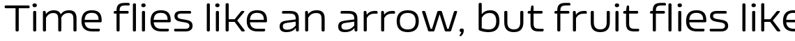 Nizzoli Rounded Regular
