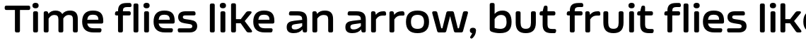 Nizzoli Rounded Bold