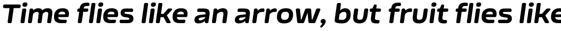 Nizzoli Rounded Black Italic