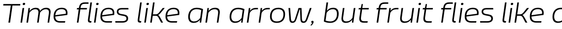Nizzoli Alt Light Italic