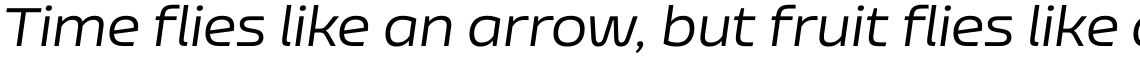 Nizzoli Alt Regular Italic