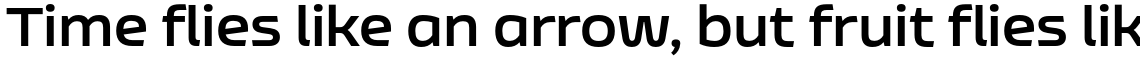 Nizzoli Alt Bold