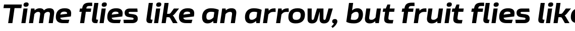 Nizzoli Alt Black Italic