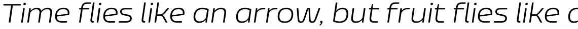 Nizzoli Alt Rounded Light Italic