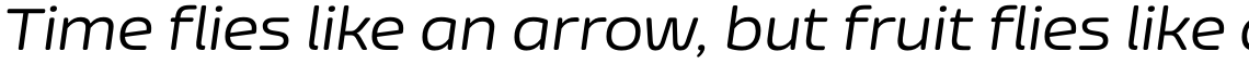 Nizzoli Alt Rounded Regular Italic