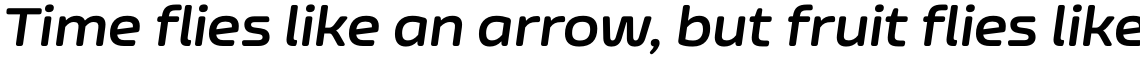 Nizzoli Alt Rounded Bold Italic