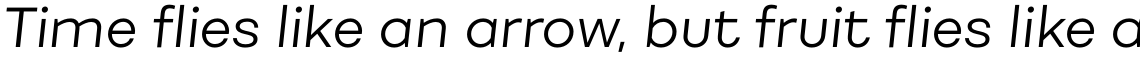 Fibra Light Italic