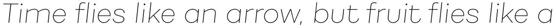 Fibra Thin Italic